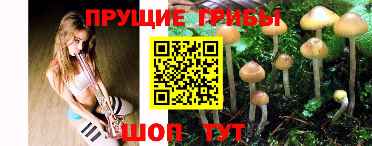 Галлюциногенные грибы Psilocybe  Вход с VPN  Улан-Удэ 